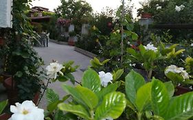 Villa delle rose